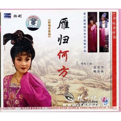 扬剧 雁归何方 (VCD)